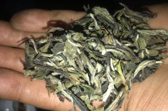 7年壽眉和2年白牡丹哪個好，老白茶壽眉與白牡丹的口感區(qū)別