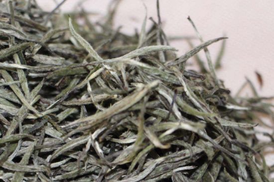 什么人不能喝白茶，白茶不宜什么人喝？