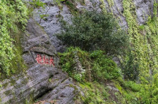 大紅袍為什么沒保質(zhì)期，武夷巖茶大紅袍能放幾年？