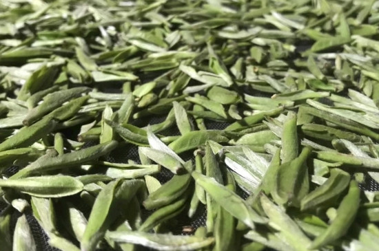 白毫銀針年份久的有什么香，陳年白毫銀針的香氣