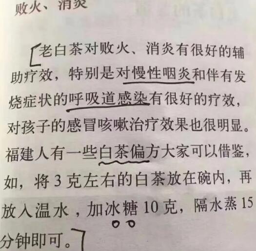 老白茶上火還是去火？夏季喝煮的老白茶會容易上火！