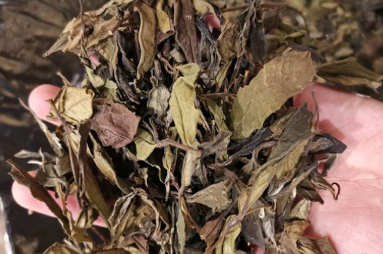 新舊白茶怎么區(qū)分，怎么分辨白茶是新還是舊
