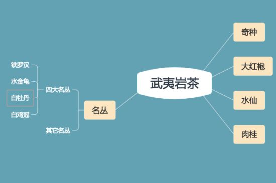 武夷巖茶品種大全，巖茶有幾種？