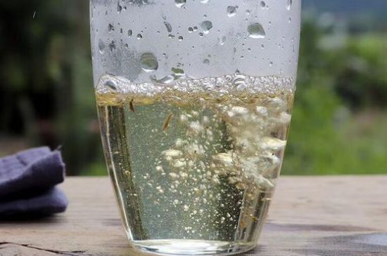 三年白茶賽砒霜，這是真的嗎？