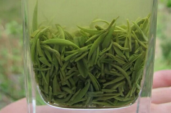 什么綠茶茶葉唇齒留香，哪個品種綠茶香氣好？