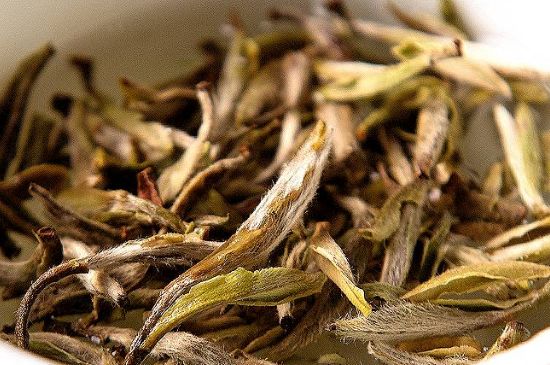 荒野銀針市場價多少，真正的荒野白毫銀針多少錢？