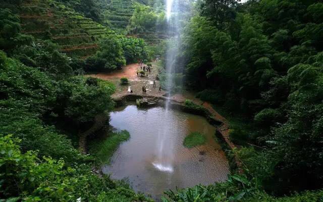 武夷山為什么盛產(chǎn)茶葉，武夷山茶為什么好喝？