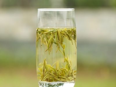霍山黃芽算是好茶嗎，霍山黃芽屬于什么茶？