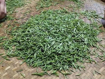 金駿眉幾年可以算陳茶，金駿眉新茶好還是老茶