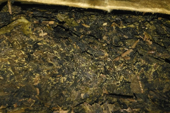 黑茶茯茶保存五大忌，茯茶收藏的注意事項(xiàng)