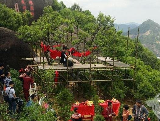 宋種一號價(jià)值為什么高，鳳凰單樅宋種1號價(jià)格與產(chǎn)量多少？