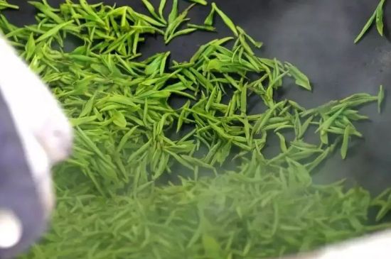 碧螺春為什么泡水渾濁，碧螺春茶葉泡水感覺很臟是混濁的