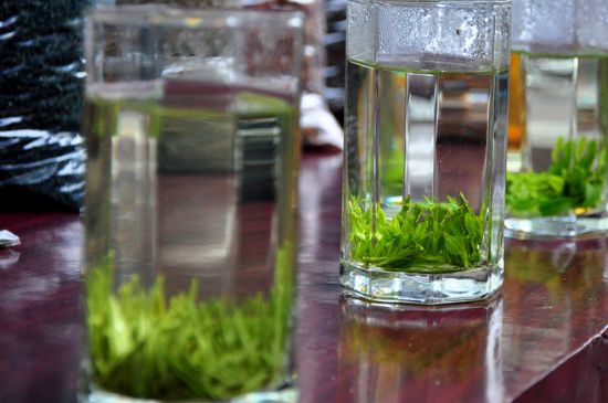 綠茶放了三年還能喝嗎，綠茶放久了喝了會怎樣