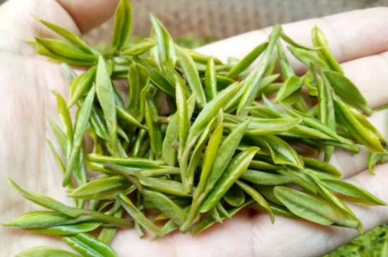 什么是雪前龍井茶，明前、雨前、雨后龍井有什么區(qū)別？