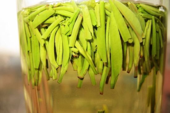 雀舌為何喝著是苦的，雀舌味道怎么那么苦澀？